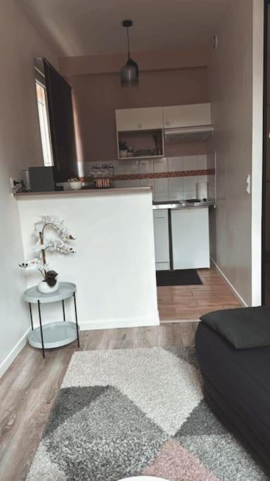 Beautiful F2 Apartment 5 Stops By Train From Paris 莫雷卢安河 外观 照片