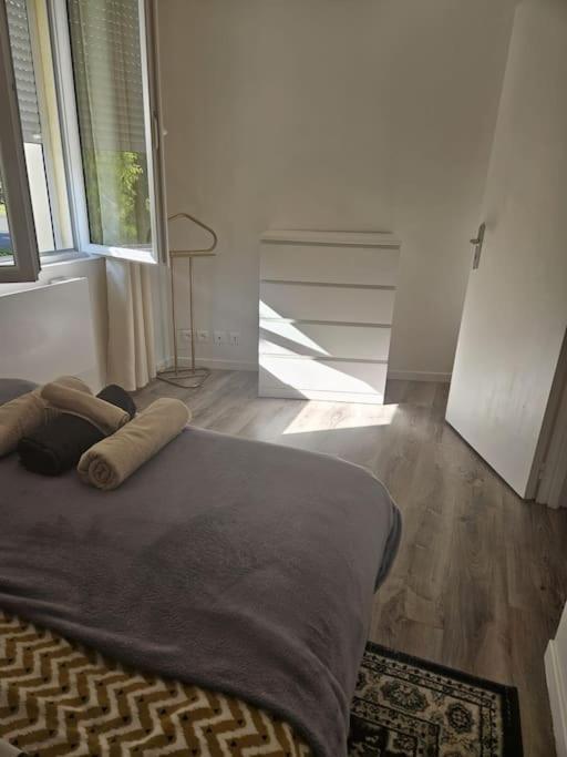 Beautiful F2 Apartment 5 Stops By Train From Paris 莫雷卢安河 外观 照片